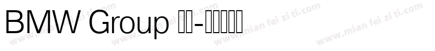 BMW Group 中文字体转换